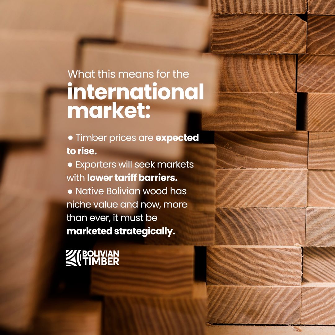 post2-boliviantimber