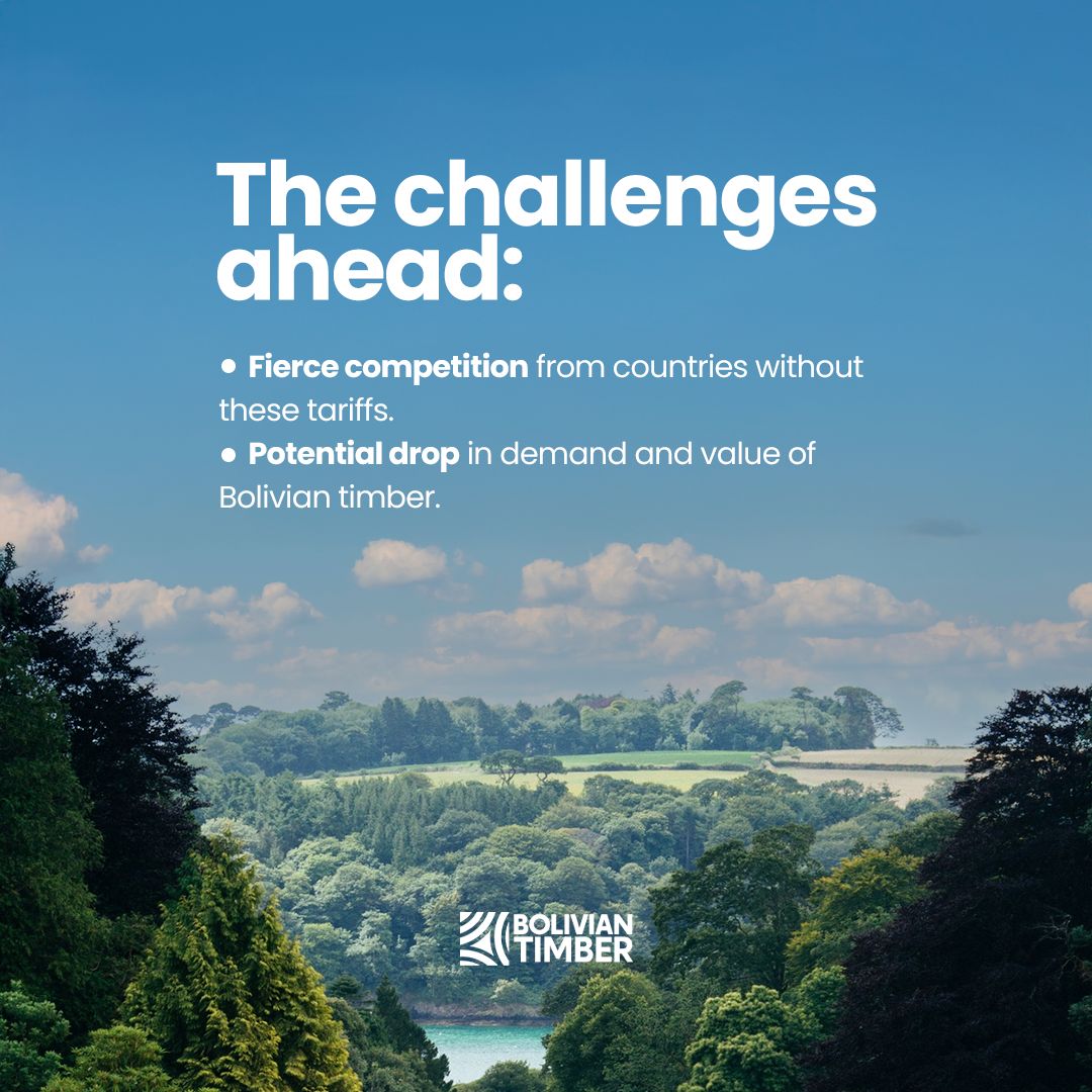 post3-boliviantimber