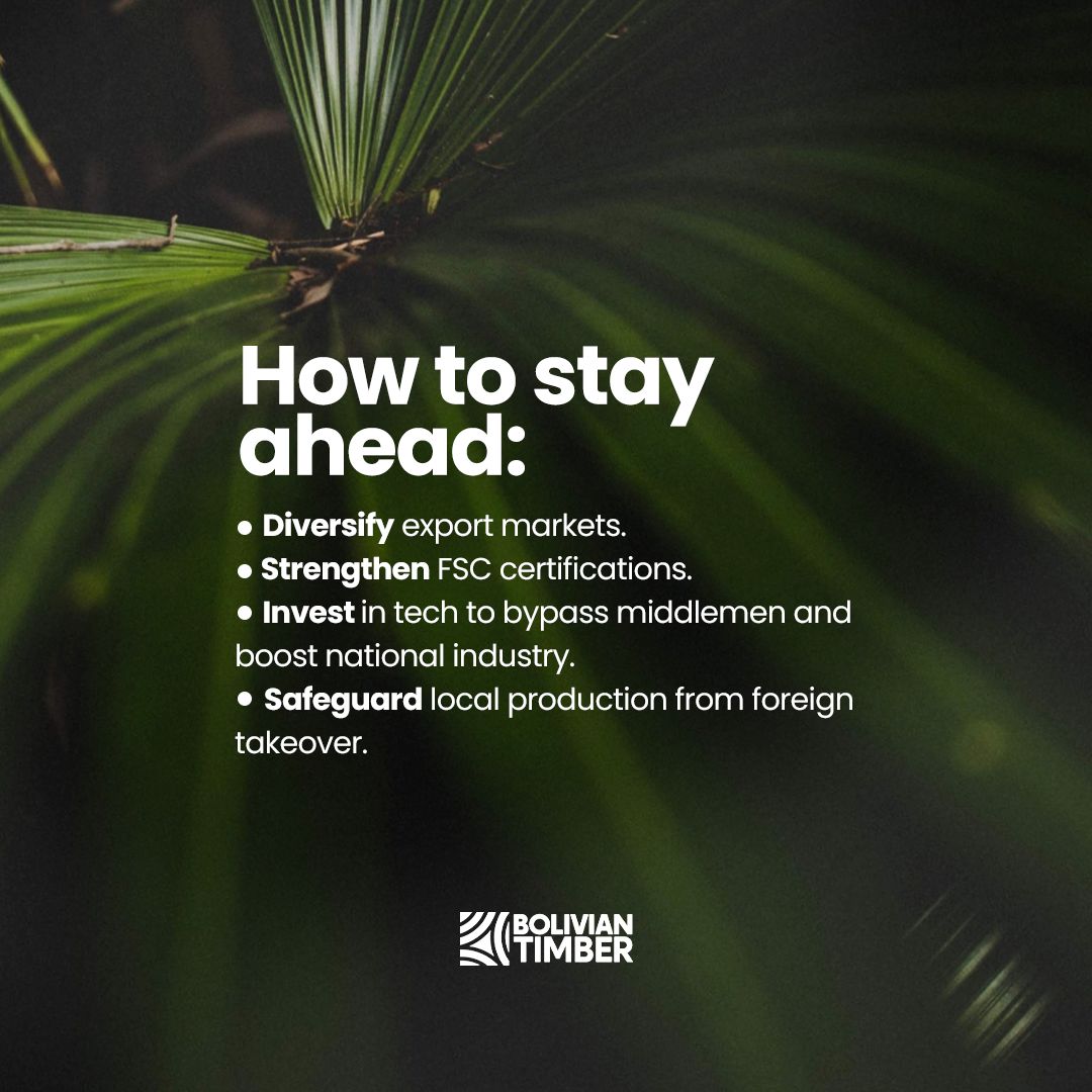 post4-boliviantimber