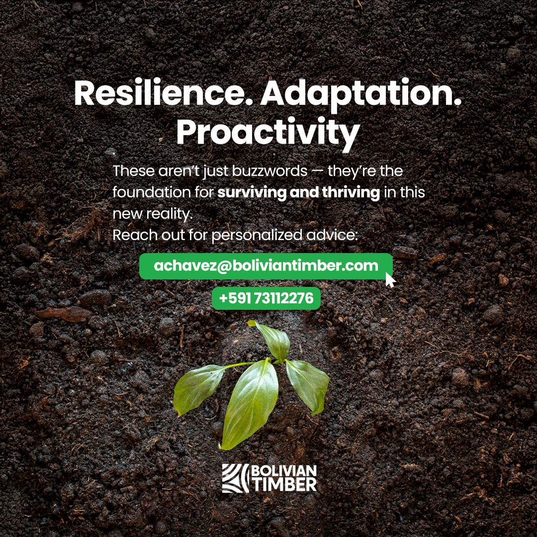 post5-boliviantimber